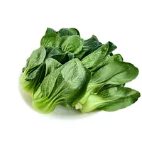 【霜打菜】青菜(高山）250g/份