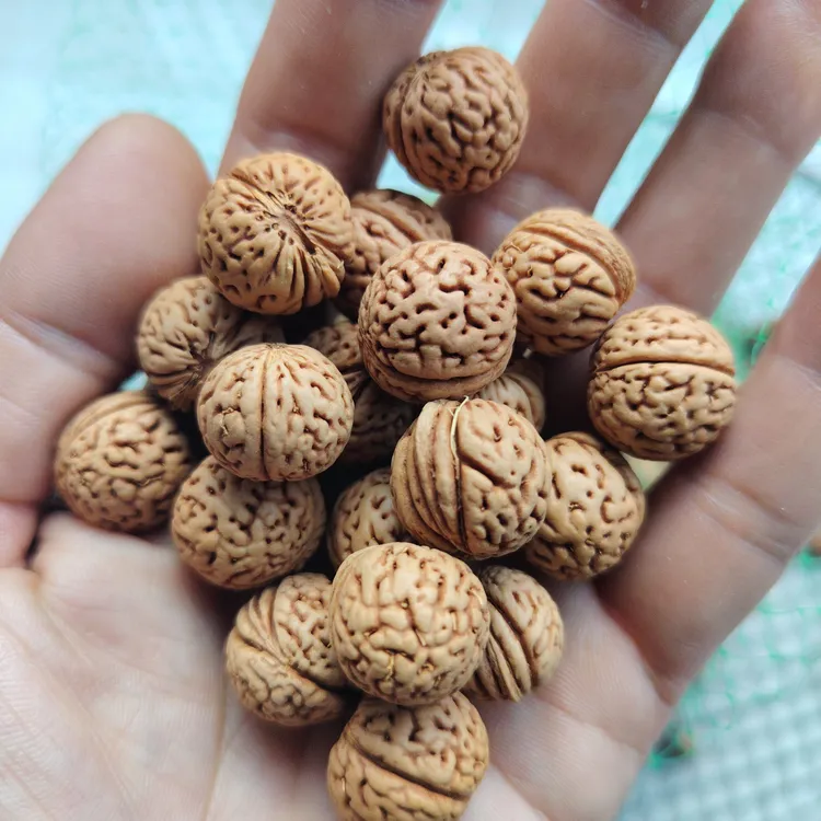 山桃核手串雕刻专用料核质优良适合雕刻