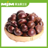 【500g/份】高山鲜板栗高山鲜板栗