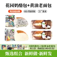 奶酪包黄油老面包组合装 