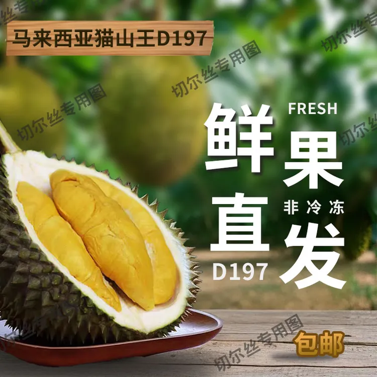 鲜果猫山王D197正宗马来西亚进口树上熟新鲜带壳整果包邮无需催熟