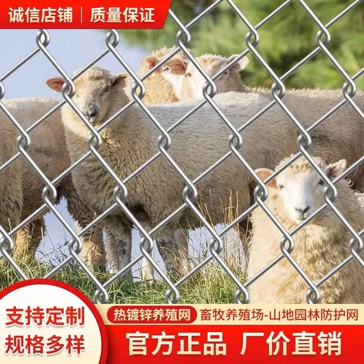 热镀锌铁丝网围栏果园养殖防护钢丝网养鸡养狗不生锈勾花网格栏网商品图