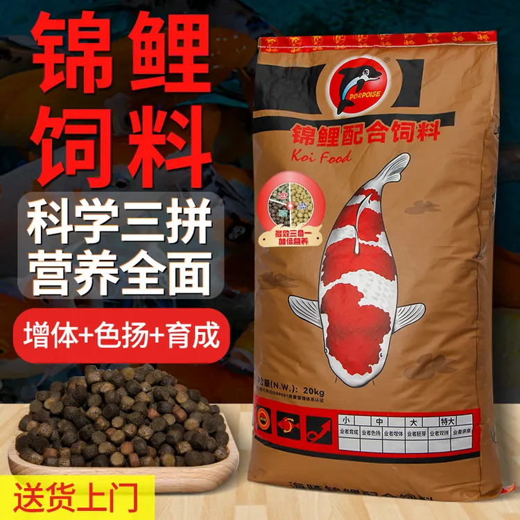 海豚锦鲤鱼饲料全效三拼不浑水育成增体增色通用型上浮颗粒鱼粮