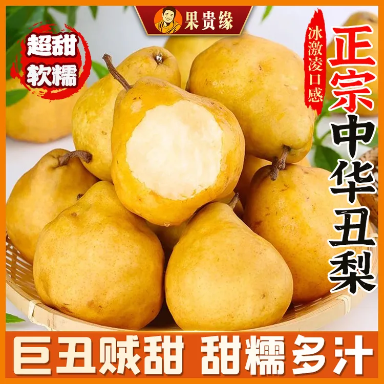 【香甜软糯】中华丑梨新鲜当季水果软糯多汁香甜可口山东特产软梨
