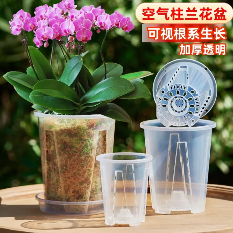 透明控根盆蝴蝶兰专用透气镂空塑料花盆家用大号