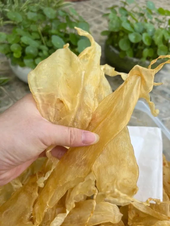 斗湖公胶 一斤32头左右