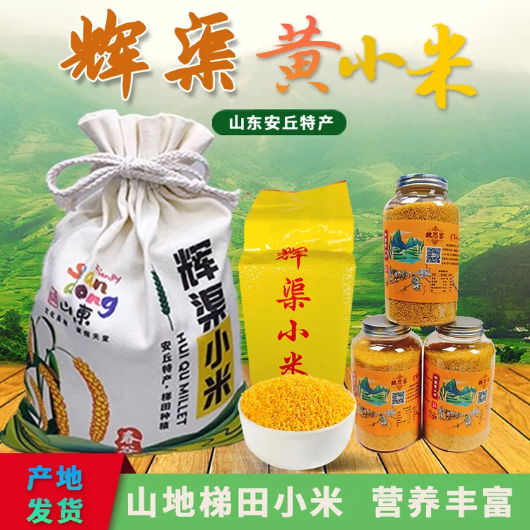 [山东安丘] 山东辉渠黄小米 安丘特产 山区农家小米