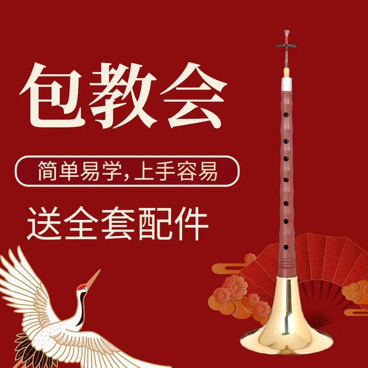 树脂仿乌木唢呐仿红木唢呐乐器全套D调初学者入门小号喇叭