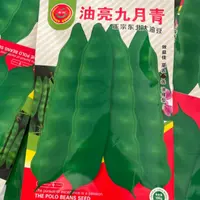 发2袋 油亮九月青大油豆角种子