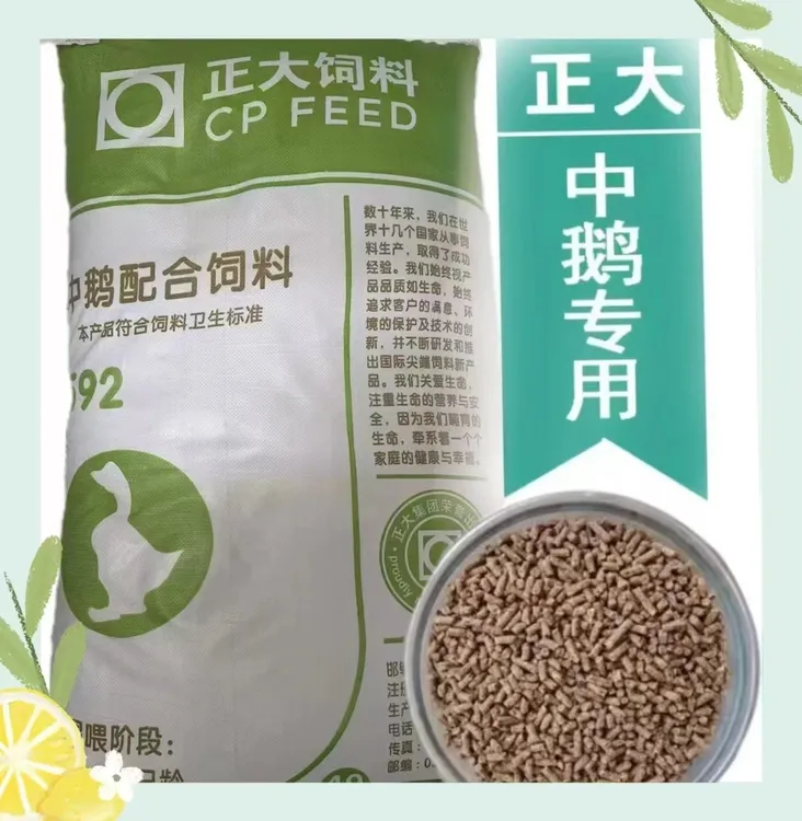 正大592中大鹅肉鹅蛋鹅天鹅狮头鹅颗粒