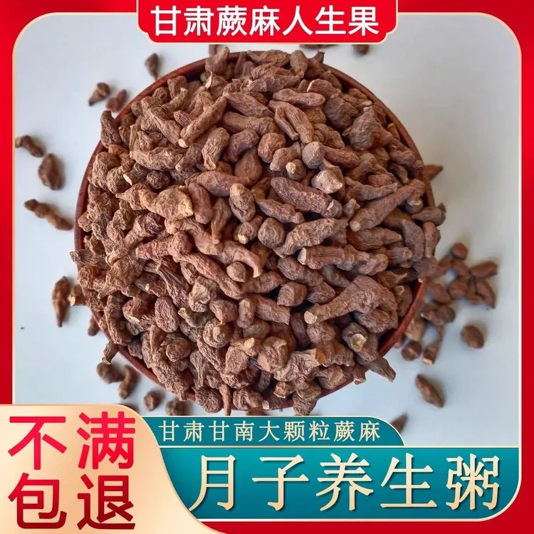 新鲜正宗甘肃蕨麻人参果产妇蕨麻煮粥坐月子大果特大藏族人参果蕨