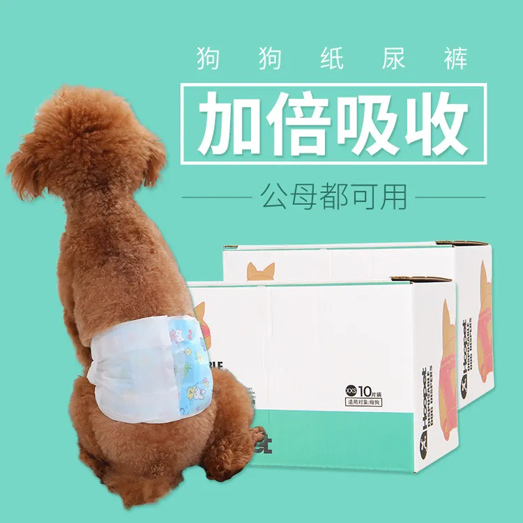 宠物狗狗纸尿裤 小狗生理裤 一次性公狗尿不湿母狗卫生巾月经裤