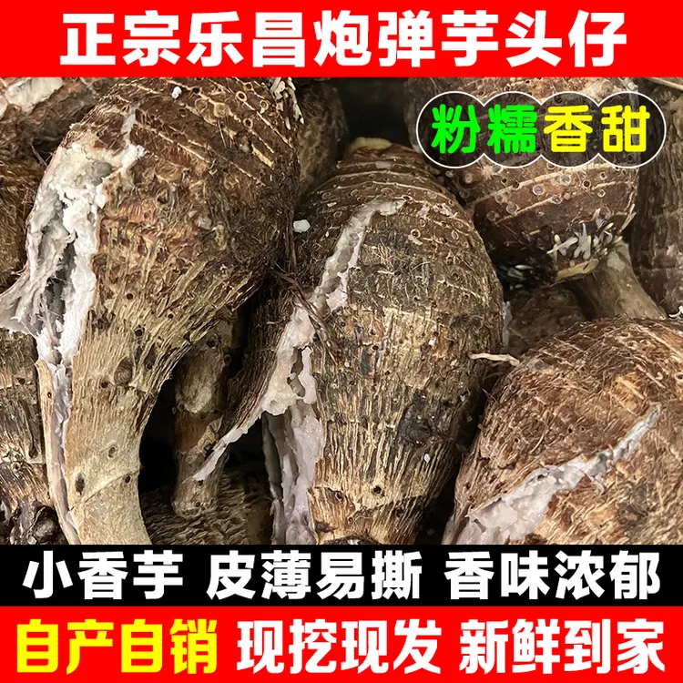 2025年新采挖精选正宗乐昌炮弹芋头仔槟榔香芋仔粉糯香甜个头饱满