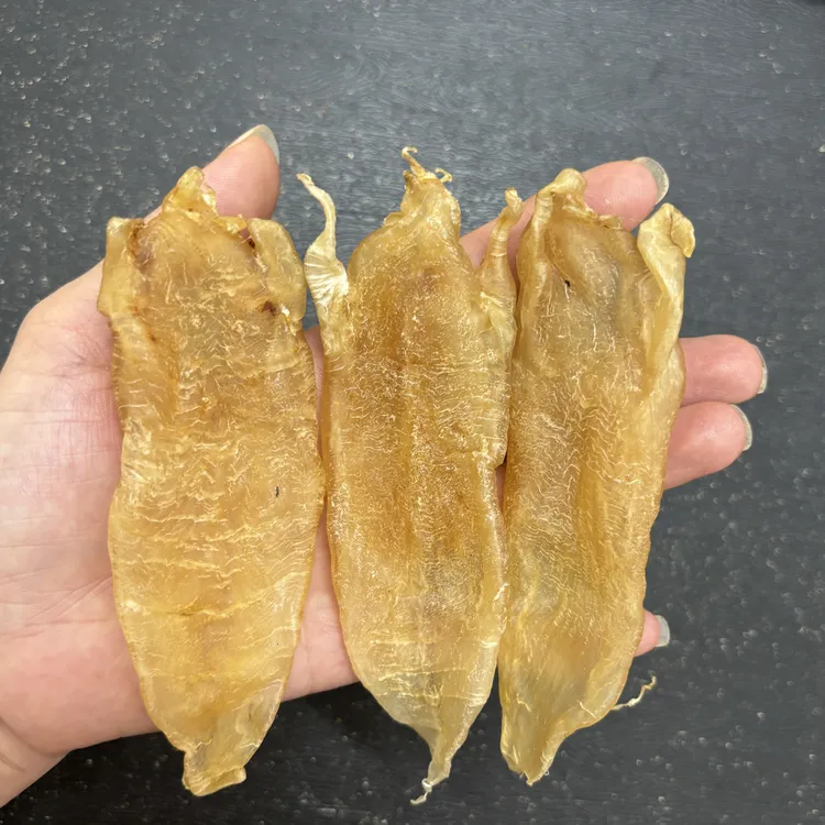 北海胶 巴母 金龙 家深海厚肉纯野 软糯口感