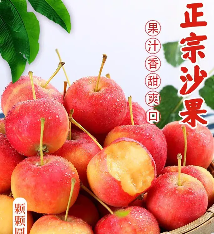 顺丰包邮 东北沙果 黄太平小时候的味道商品图