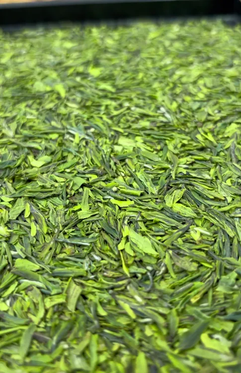 《满天星》2025年新茶高碎雨花茶片碎芽片清香兰花香