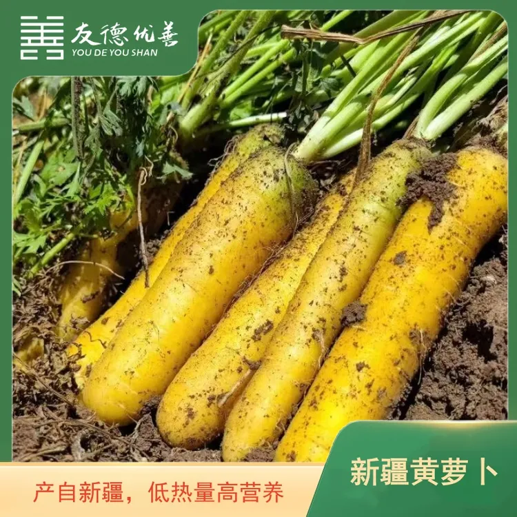 【友德优善】新疆黄萝卜3斤