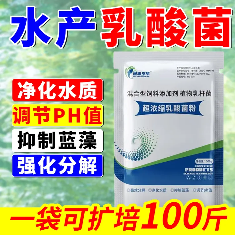 超浓缩乳酸菌 发酵饲料菌液 分解有机质 净化水质 助肠胃吸收