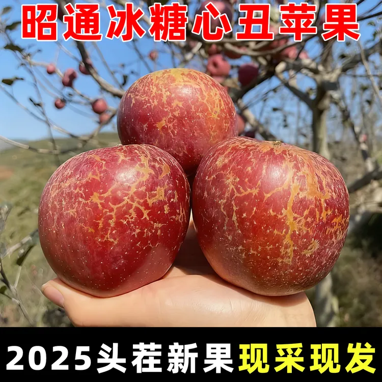 2025正宗云南昭通市冰糖心丑苹果新鲜当季应季时令水果红富士5斤
