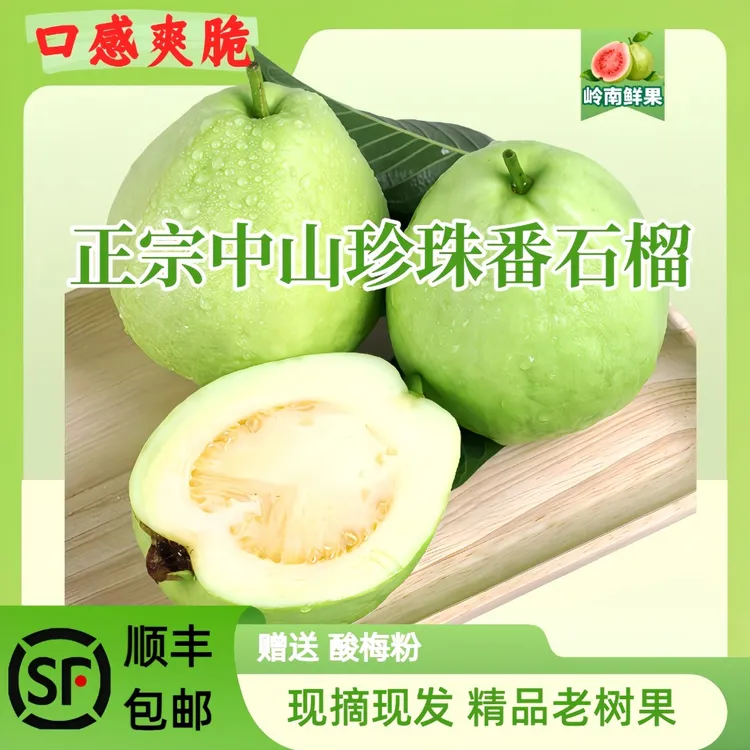 【爽脆香甜】广东中山珍珠番石榴现摘现发白心新鲜芭乐低糖控脂水果