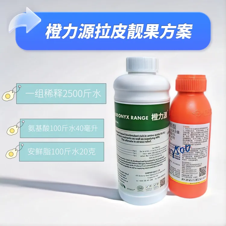 橙力源柑橘拉皮脐橙靓果方案稀释2500水