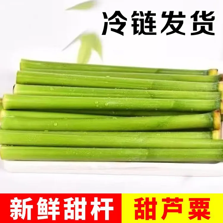 新鲜甜杆 甜芦粟 甜高粱 甜棒童年清香可口儿时味道零食水果5斤