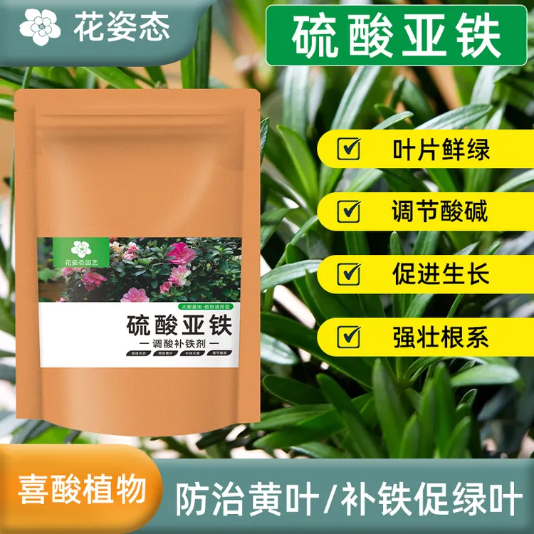 大袋装【硫酸亚铁花肥】罗汉松肥料铁树专用肥幸福树金钱树龙须树