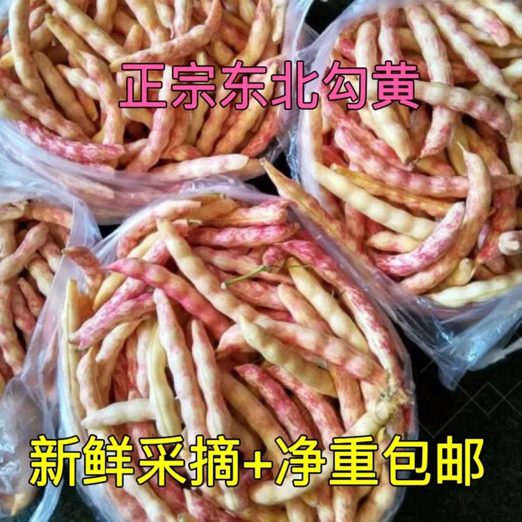 【现摘现发】5斤黄金勾豆角头茬新鲜 农户自种