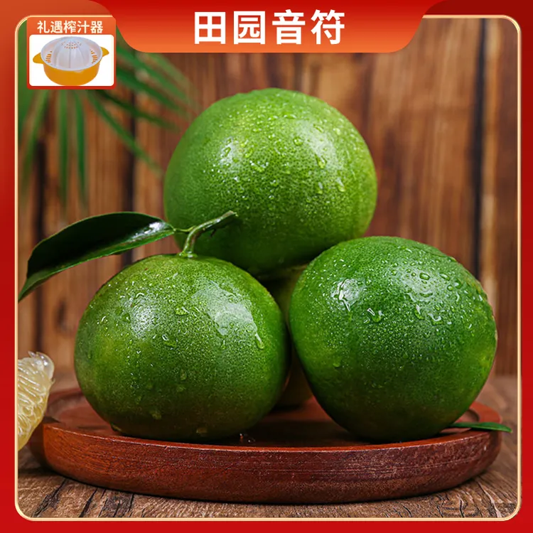 福建平和青靛柚翡翠爆汁葡萄柚皮薄肉厚汁水多现摘现发新鲜应季果