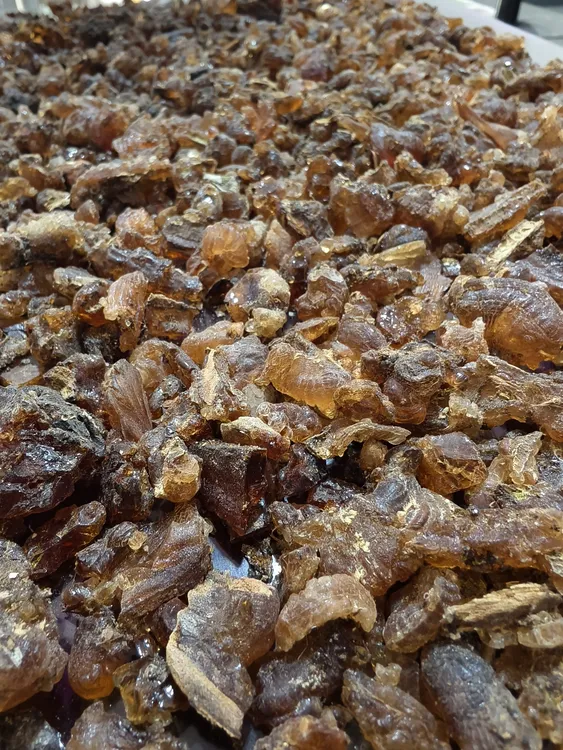 沙枣胶（jigda yilimi）