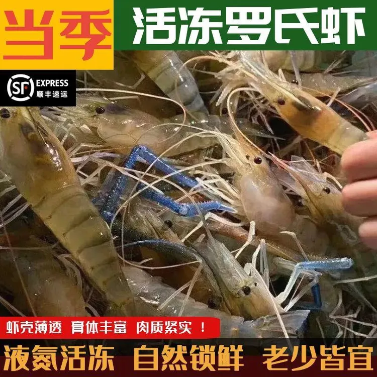 【顺丰】三斤大头虾罗氏虾冰鲜速发鲜活速冻沼虾河虾淡水虾冷冻肉质