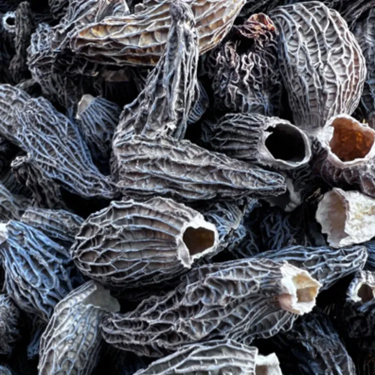 羊肚菌干货香味浓郁煲汤美味特产