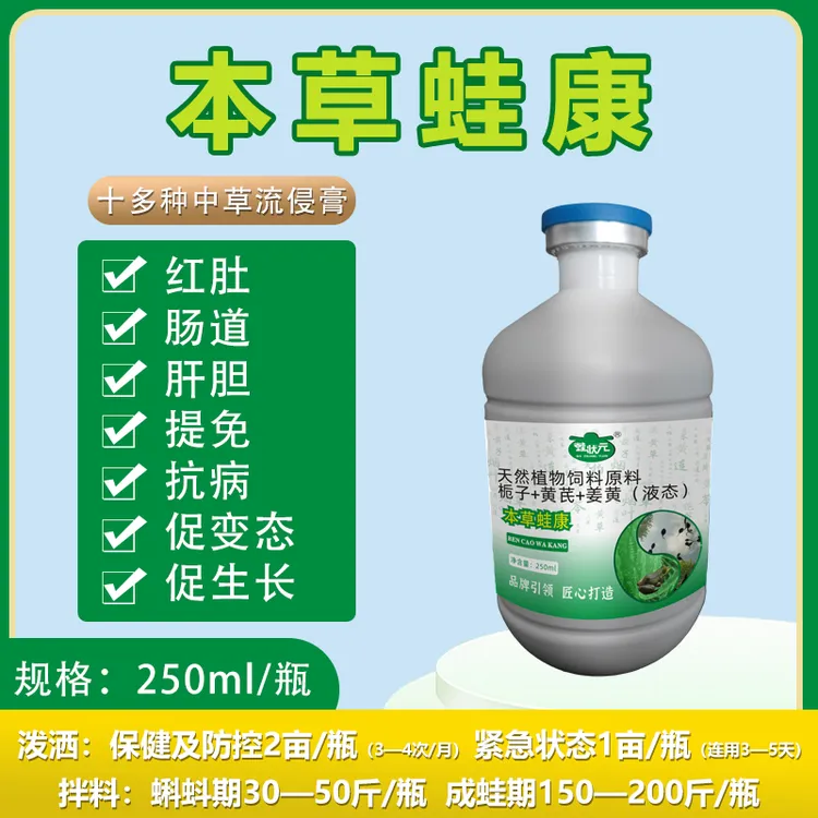 蛙状元本草蛙康蝌蚪红肚白肚缩尾护肠提升免疫力抗病力促生长发育
