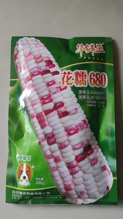 华鲜玉花糯680甜糯玉米
