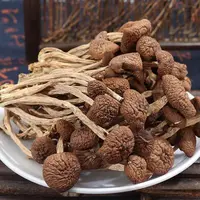 【小丸子1】茶树菇  煲汤干货