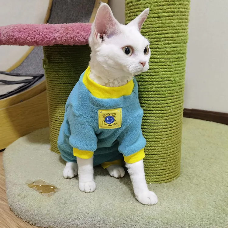 满50包邮无毛阿比德文猫衣服冬季保湖蓝奥利绒四脚两脚宠物帽子
