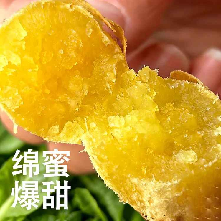 榴莲蜜薯新挖烤地瓜用的蜜薯软糯香甜细腻无丝孕妈宝宝辅食5斤装
