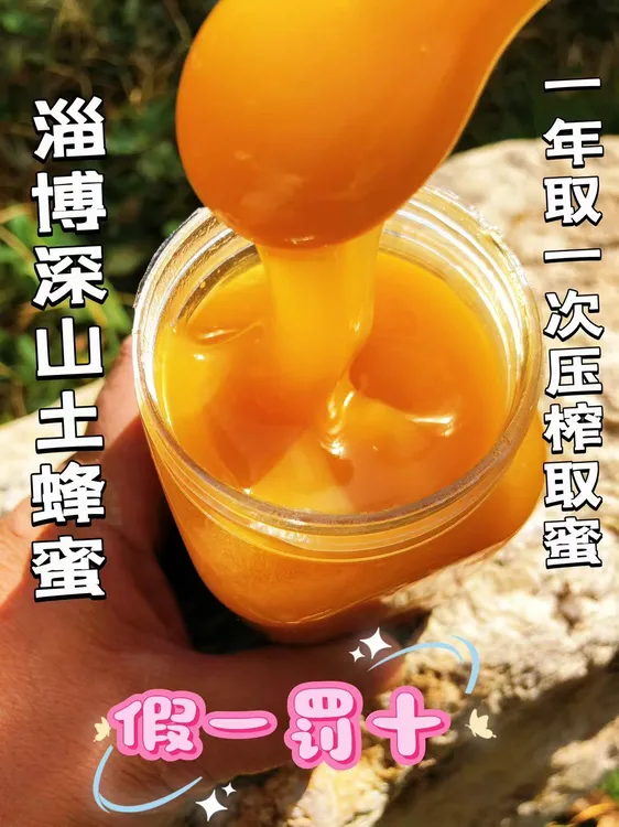 纯正深山土蜂蜜结晶成熟原蜜一年取一次淄博压榨土蜂蜜假一罚十