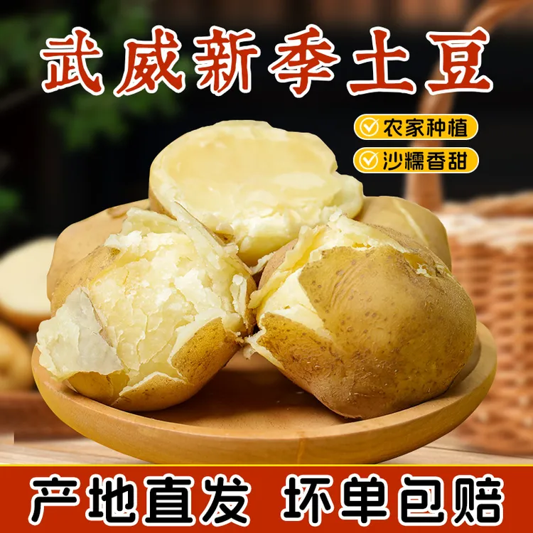 甘肃新季大西洋土豆甘农薯7号当季新鲜蔬菜马铃薯沙面炸薯条食材