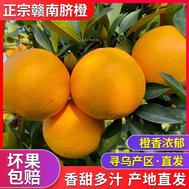 江西赣南脐橙橙子应季水果香甜多汁5/10斤装产地直发