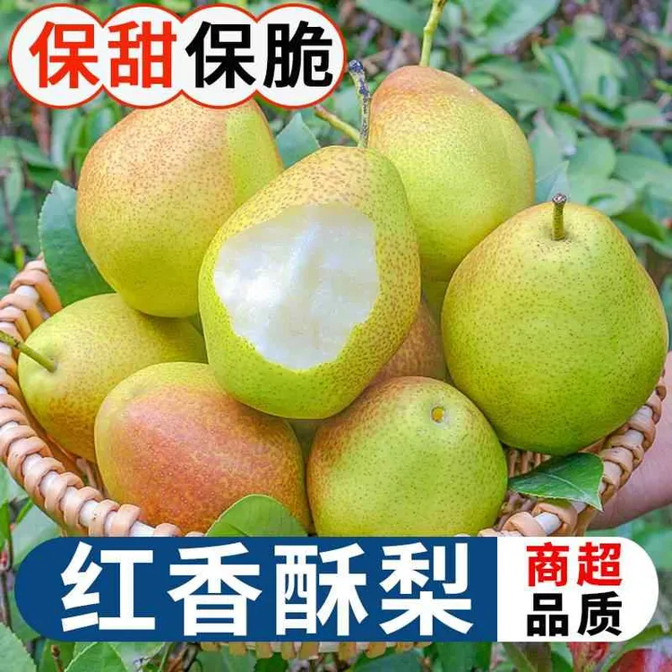 新鲜香梨5斤装七月红梨也叫半边红梨现摘现发应季脆梨
