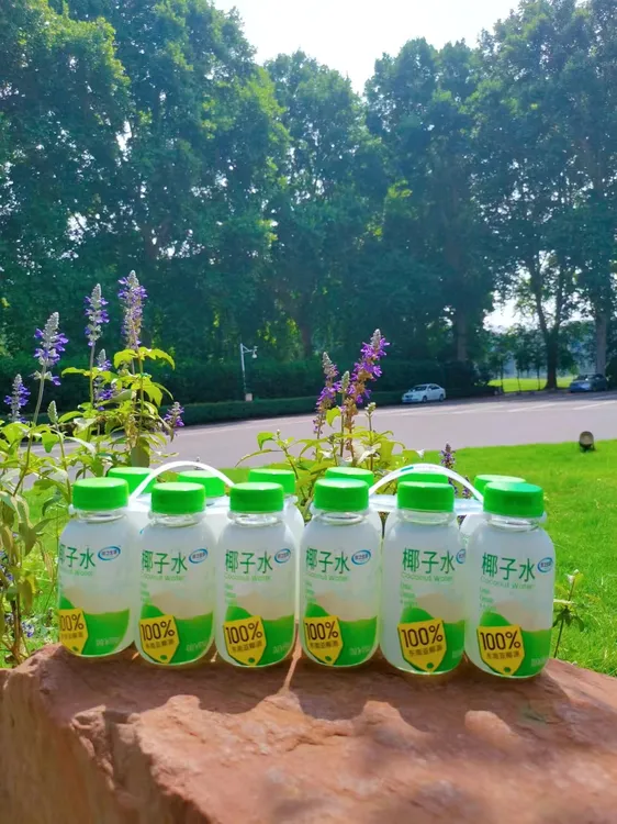 优之生活246ml百分百椰子水网红饮品孕妇能喝含电解质