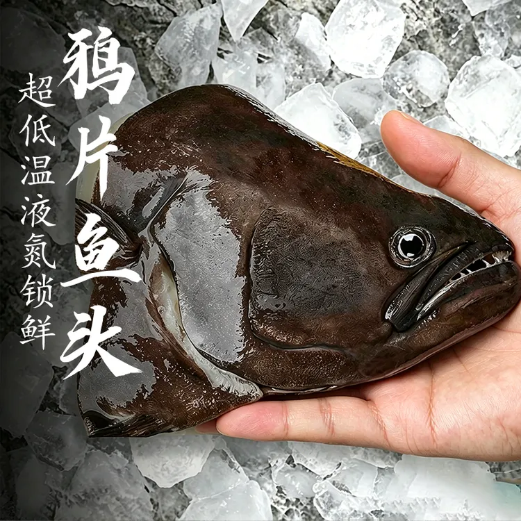 格陵兰深海鲽鱼头新鲜冷冻肉质细嫩无冰衣顺丰发货