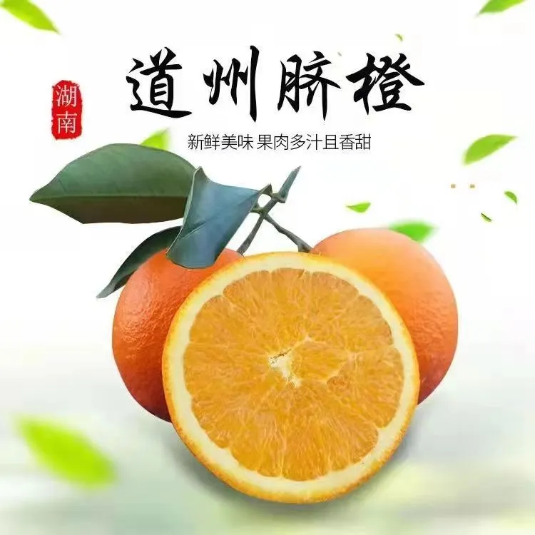 道州脐橙新鲜橙子当季水果现摘甜橙纽荷尔薄皮湖南永州特产道县