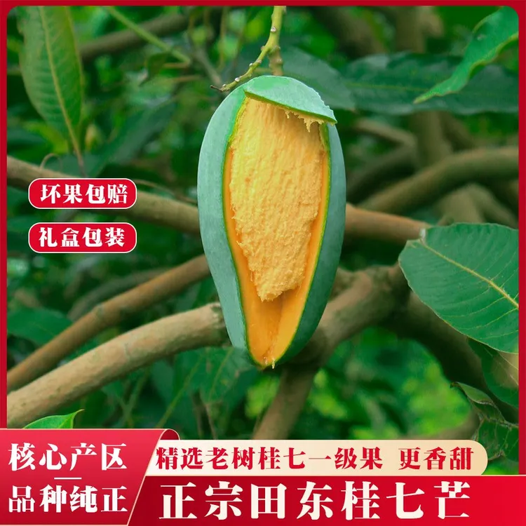 广西田东新鲜芒果桂七香芒