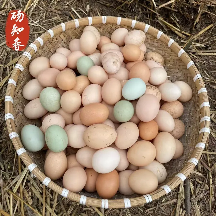 林下农家散养农村土鸡蛋新鲜现捡营养健康粗粮谷物喂养