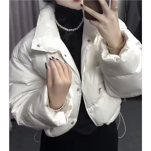 8962婕妤秀2024冬季新款慵懒时尚立领简约拉链宽松百搭棉衣女