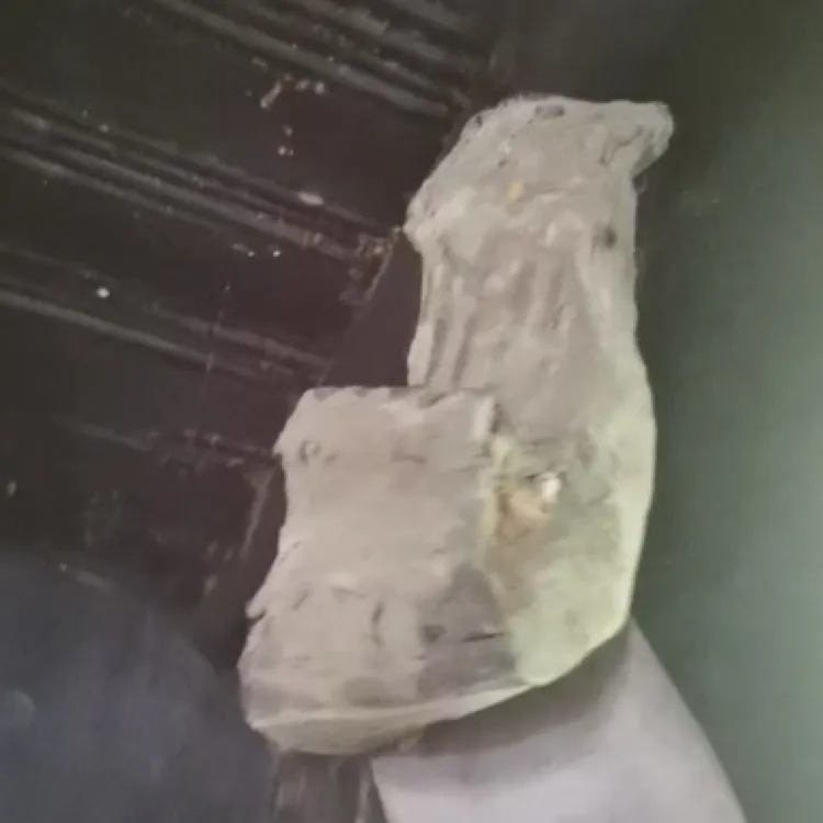 正宗农家柴火烟熏五花腊肉土特产帶排4斤128元