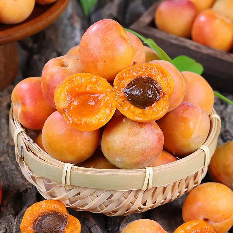 【顺丰空运】新疆阿克苏小红杏吊干杏产地直发大果香甜多汁新鲜应季