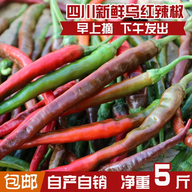 四川新鲜乌红二荆条线椒5斤农家自种香辣现摘现发乌红尖辣椒 包邮